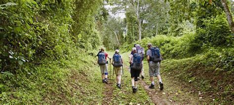 Adventure Trip 的图像结果