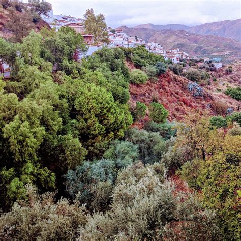 BEST Places to Visit in El Borge - UPDATED 2024 (with Photos & Reviews ...