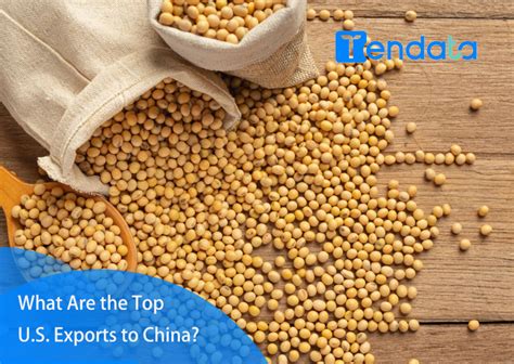 Export Examples 的图像结果