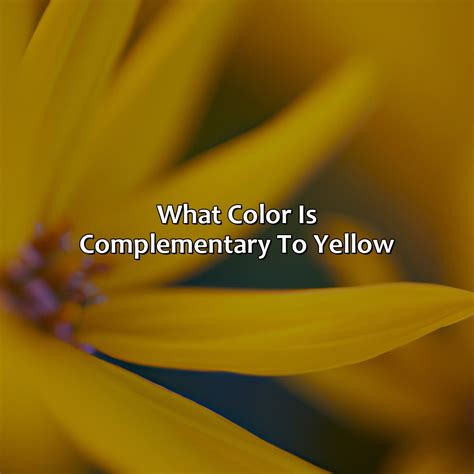 Image result for Bright Blue Complementary Colors