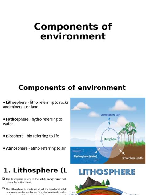 Basic Components of the Environment 的图像结果