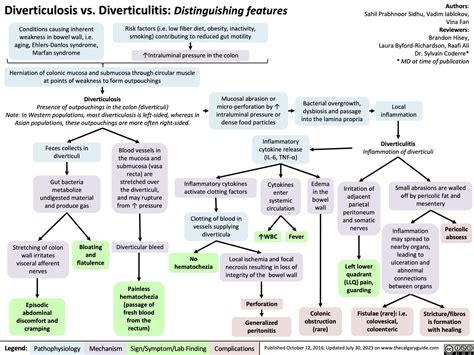 diverticulosis-vs-diverticulitis-distinguishing-features | Calgary Guide