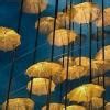 7. झारखंड राज्य के प्रमुख त्योहारों का वर्णन कीजिए। - Brainly.in