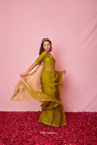 Ruhaani Green Organza Silk Saree – The Haelli