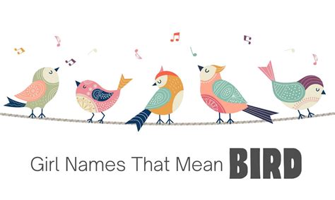 Mavis Name Meaning & Origin | Middle Names for Mavis