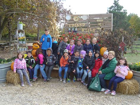 Our visit to the Upland Hills Farm | Mrs. Slater's Class