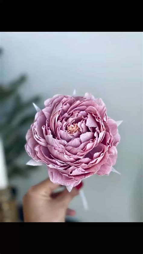 Image result for Crepe Tutorial