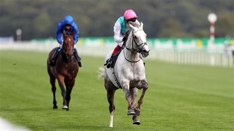 Logician will run in Cumberland Lodge at York | Racing News | Sky Sports