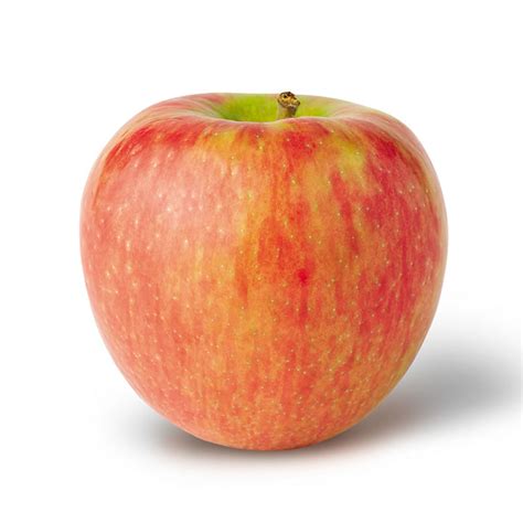 Image result for Apple System.Data