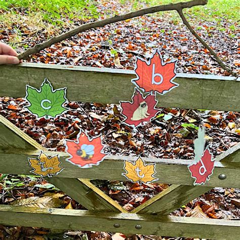 Awesome Autumn Phonics Activities - Twinkl