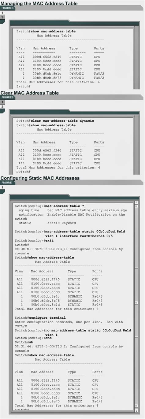 Image result for Mac Address Table Example