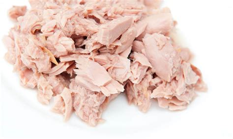 Canned Tuna Early Pregnancy at Andres Lowe blog