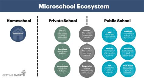 Ecosystem Of A University