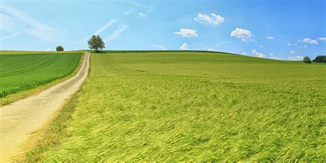 Field Calculator Python 的图像结果