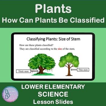 Image result for CLIL Lesson On Classifying Plants