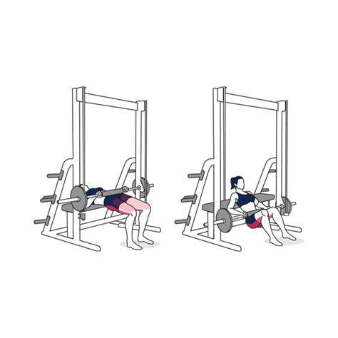 Image result for Smith Machine Hip Thrust