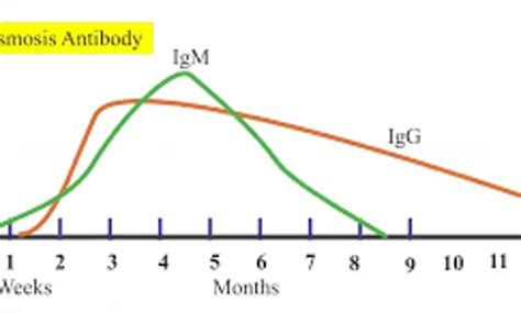 All neonates exposed to toxoplasma in-utero may not necessarily be ...
