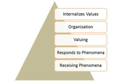 Bloom's Taxonomy of Learning Domains ~ Nursing Path