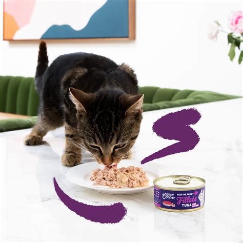 Tuna and Shrimp Grain-Free Fillets for Cats | Edgard & Cooper