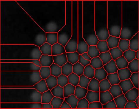 Image result for Python Computer Vision Detect Circels