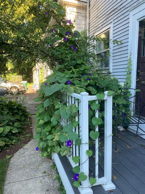 Naperville Vacation Rentals | Airbnb