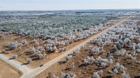 Michigan’s largest power co-op raises rates to pay for ice storm that ...