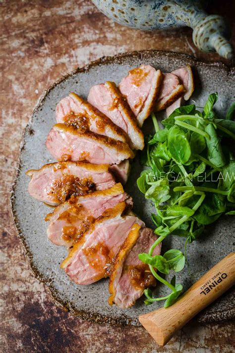 Easy Sous Vide Duck Breast - Mad Creations Hub