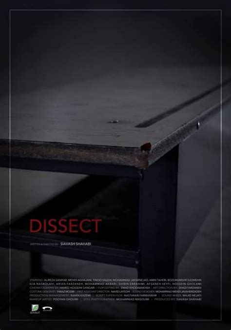 Image result for Dissect