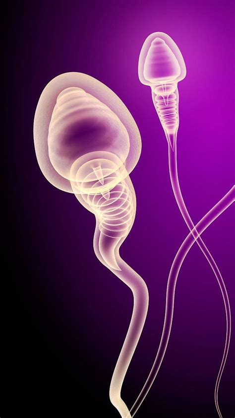 2026 पासून ‘जनरेशन बीटा’ची सुरुवात! नवी पिढी कशी असेल?