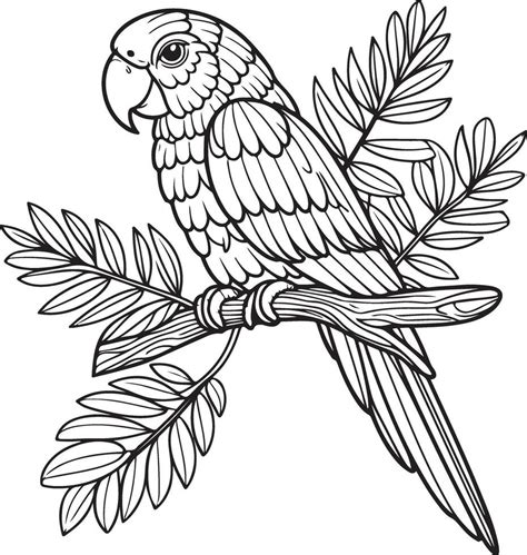 Image result for Parrot Line Drawing