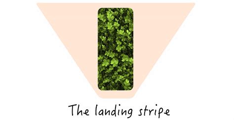 Pubic Hairstyles for Men and Women – What Looks Best Down There ...