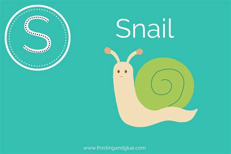 370 Spectacular Animals that Start with S