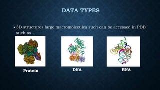 Image result for Protein Data Bank Protein Structure Visualization