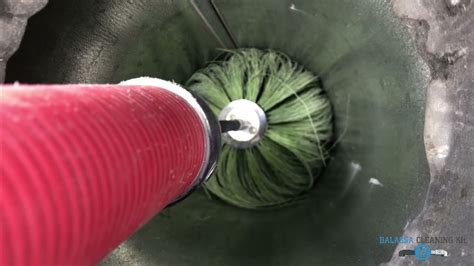 Image result for How to Clean Rotobrush