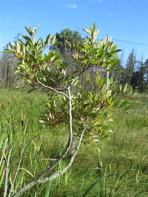 Independence North: The Northern Jewel Of Independence Oaks County Park ...