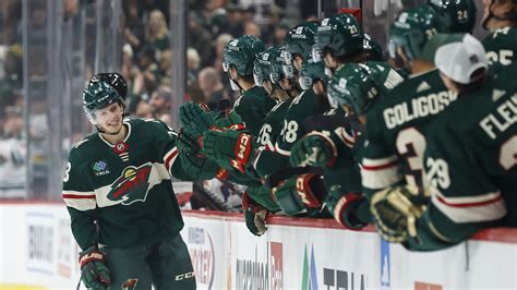 Mn Wild Desktop