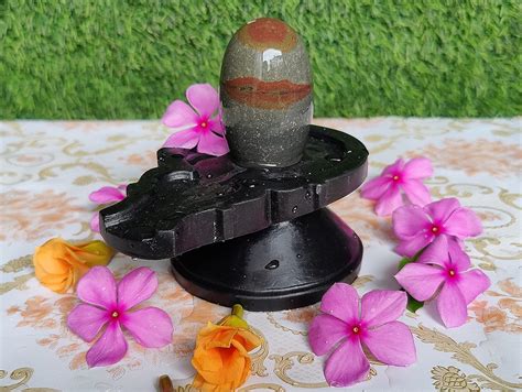 Buy Mahakal Narmadeshwar Shivling Tilakdhari Original Narmada River ...
