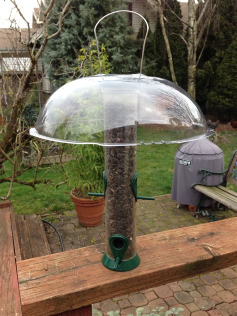 Easy Diy Squirrel Baffle