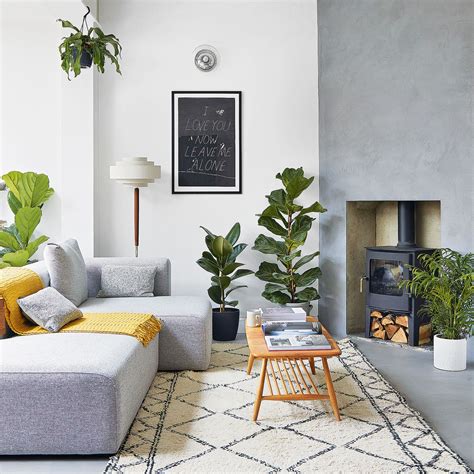 Can you water plants with dehumidifier water? | Ideal Home