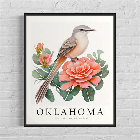 Oklahoma State Bird Art Print, Oklahoma State Flower, Oklahoma Wall Art ...