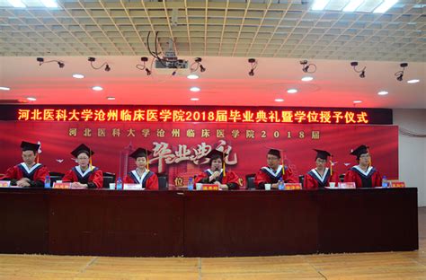 河北沧州市有哪些本科民办大学 2023年分数线排名