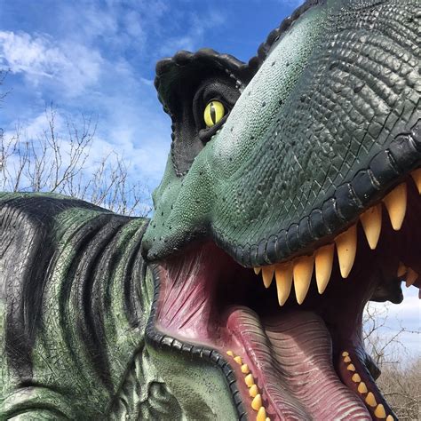 SPACETIME PARK (2026) All You Need to Know BEFORE You Go (with Photos ...