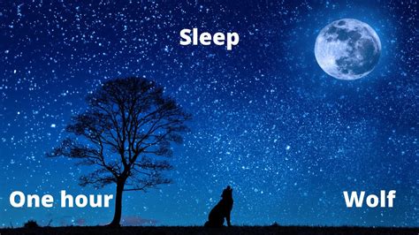 Image result for Wolves Howling Sleep Sounds