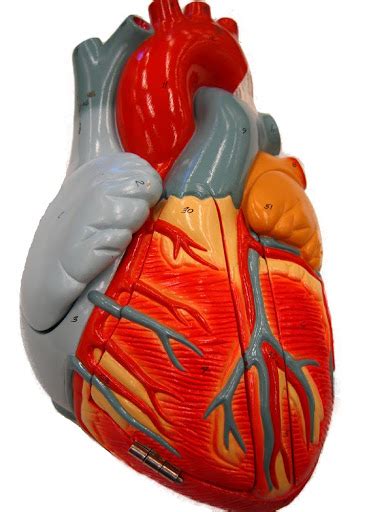 Image result for Heart with Name Using Python