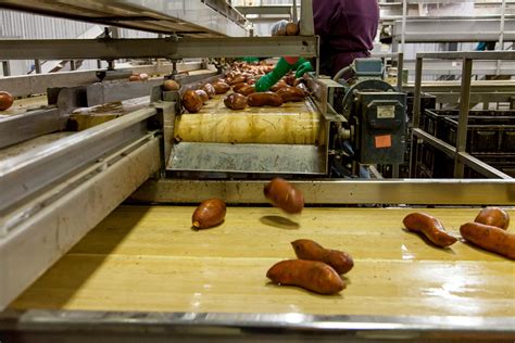 Image result for Fast Food Processing