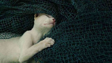 Photographer Gopal MS captures Mumbai through its smells in his digital ...