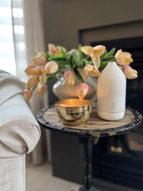 Image result for Homemade Diffuser Solution