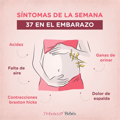 Síntomas de la semana 37 en el embarazo | 38 semanas de embarazo, 36 semanas de embarazo, 37 ...