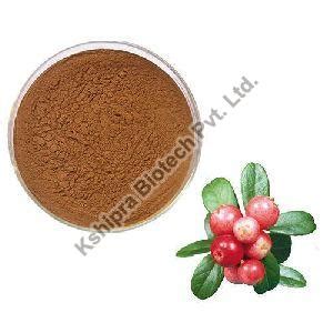 Milk Thistle Extract Manufacturer, Supplier from Indore