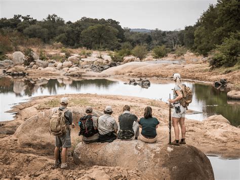 Eco Training Programs 的图像结果